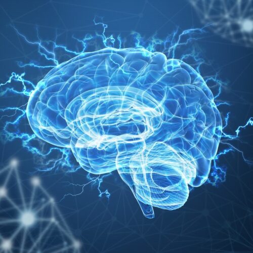 Sixième cerveau pour renforcer le cerveau — Khodam Djinn
