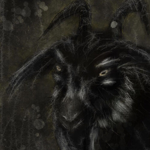 Khodam Djinn — Haunted Oil Dark Tarantula Spider Magic Revenge Pain Spirit Communication Fate — image 1 Haunted Oil Dark Tarantula Spider Magic Revenge Pain Spirit Communication Fate — Khodam Djinn