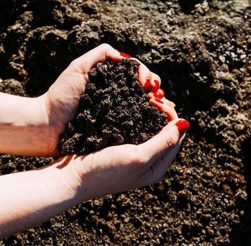 Khodam Djinn — Haunted Graveyard Dirt Death Spirit Spell Love Me Or Die Control Necromancy Soul — image 1 Haunted Graveyard Dirt Death Spirit Spell Love Me Or Die Control Necromancy Soul — Khodam Djinn