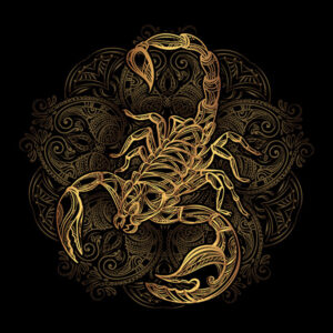 Haunted Espiritual Escorpión Attunement Empowerment Revenge Attack Protection Ally — Khodam Djinn