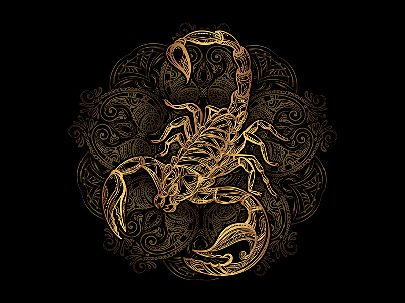 Haunted Espiritual Escorpión Attunement Empowerment Revenge Attack Protection Ally — Khodam Djinn