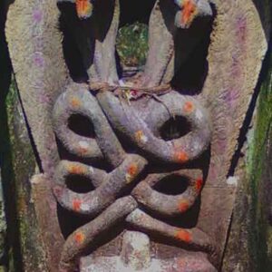 Kali Naga Schamanische Kraft Digitales E-Handbuch Stufe 3 – eine extrem intensive Kraftstufe — Khodam Djinn