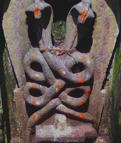 Khodam Djinn — Kali Naga Shamanic Power digital emanual LEVEL 4 Master Teacher — image 1 Kali Naga Schamanische Kraft Digitales E-Handbuch Stufe 4 Meisterlehrer — Khodam Djinn