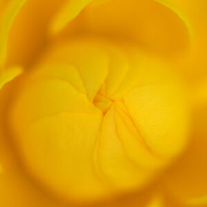 Khodam Djinn — BEAUTY SPELL VERY POWERFUL BY Khodam Djinn LEGACY — image 1