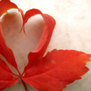 Khodam Djinn — SIMPLE-LOVE SPELL POWERFUL BY Khodam Djinn — image 1