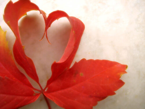 SIMPLE-LOVE SPELL POWERFUL BY Khodam Djinn — Khodam Djinn