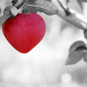 Khodam Djinn — LOVE SPELL ~ HAUNTED ~ POWERFUL AND INSTANT ~ Khodam Djinn ~ LEVEL III — image 1